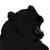 Gash-ren :icongash-ren: