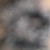 gastergaster :icongastergaster: