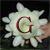 DeviantArt profile picture for @geetha on DeviantArt