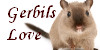 Gerbils-Love's avatar