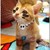gerbo-fleetfoot :icongerbo-fleetfoot: