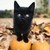 GhostAvalon :iconghostavalon: