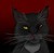 ghostthewerecat :iconghostthewerecat: