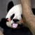 GHOSTTRUNK :iconghosttrunk:
