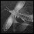DeviantArt profile picture for @gimlet on DeviantArt
