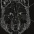 Gla55wolf :icongla55wolf:
