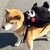 glass-mug :iconglass-mug: