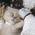 Glassy-Souls :iconglassy-souls: