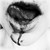 GodSaveQueenx :icongodsavequeenx: