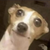 :icongodzilla199999: