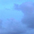GoldenTerra :icongoldenterra: