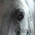 goldyc :icongoldyc:
