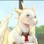 goshaak :icongoshaak: