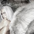 :icongoth-angel-13:
