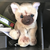 GotNeccos :icongotneccos: