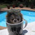 Grabacr :icongrabacr: