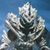 GrandKeizerGhidorah :icongrandkeizerghidorah: