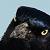 GreedyFISHes :icongreedyfishes: