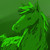 :icongreen-horse: