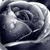 grey-dove :icongrey-dove: