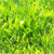 growinglimonade :icongrowinglimonade: