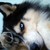 GuessMySecret :iconguessmysecret: