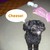 GuitarHeroFreak123 :iconguitarherofreak123: