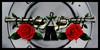 Guns-N-Roses-fans's avatar