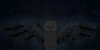 Gunshot-Angels's avatar