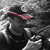 Gunther-Ray :icongunther-ray: