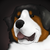 GustyValley :icongustyvalley: