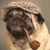Gyromorgian :icongyromorgian: