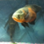 HackThePlanet24 :iconhacktheplanet24: