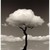 :iconhailstorm75: