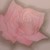 hakuryushuncho :iconhakuryushuncho: