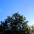 HaloExodus :iconhaloexodus: