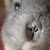 Hanhepiwin :iconhanhepiwin: