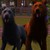 Hannah1023 :iconhannah1023: