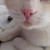 HannaSchreuder :iconhannaschreuder: