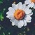 HappinessInside :iconhappinessinside: