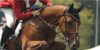 HARPG-Holsteiners's avatar