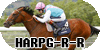 HARPG-Racer-Retrain's avatar