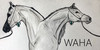 :iconharpg-waha: