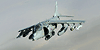 Harrier-Fan-Club's avatar