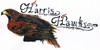 Harris-Hawks-Forever's avatar