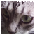 Hasdiel :iconhasdiel: