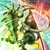 :iconhaseo55: