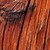 Hatzilla :iconhatzilla: