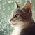 Havane-Stock :iconhavane-stock: