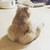 hayeonnn :iconhayeonnn: